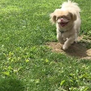 Meet your Posher, Benjamin